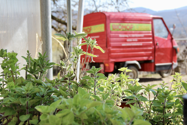 KI generiert: Kräuter im Vordergrund, rotes Lieferfahrzeug vom "BIOHOF" im Hintergrund.