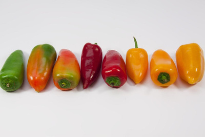 Produktfoto zu Spitzpaprika bunt