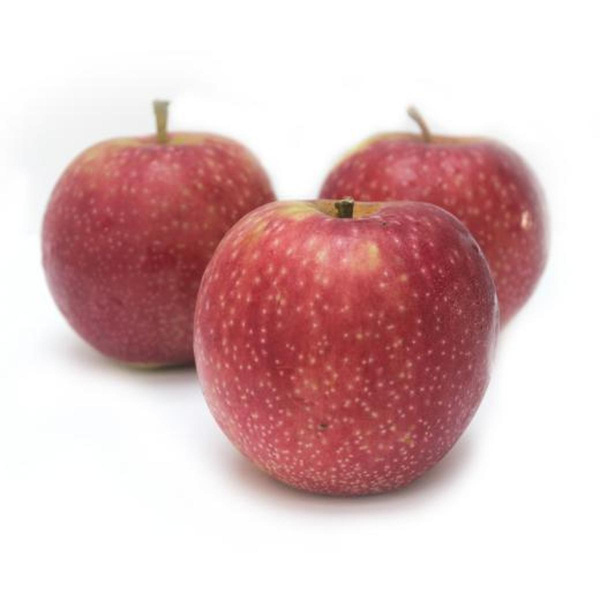 Produktfoto zu Apfel Summerred