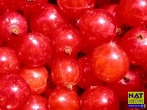 Produktfoto zu Maibeeren 125g