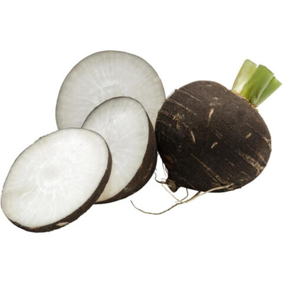 Produktfoto zu Rettich schwarz