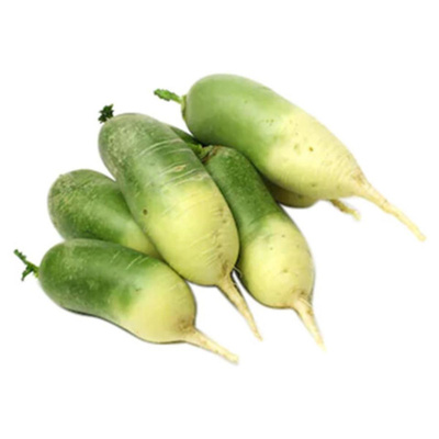 Produktfoto zu Radieschen "Green Meat"