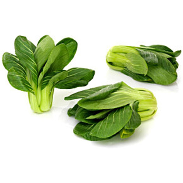 Produktfoto zu Pak Choi Öst.