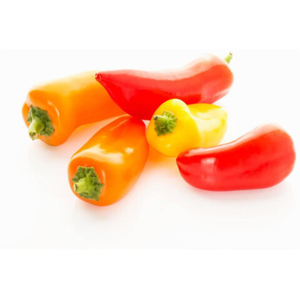 Produktfoto zu Minipaprika