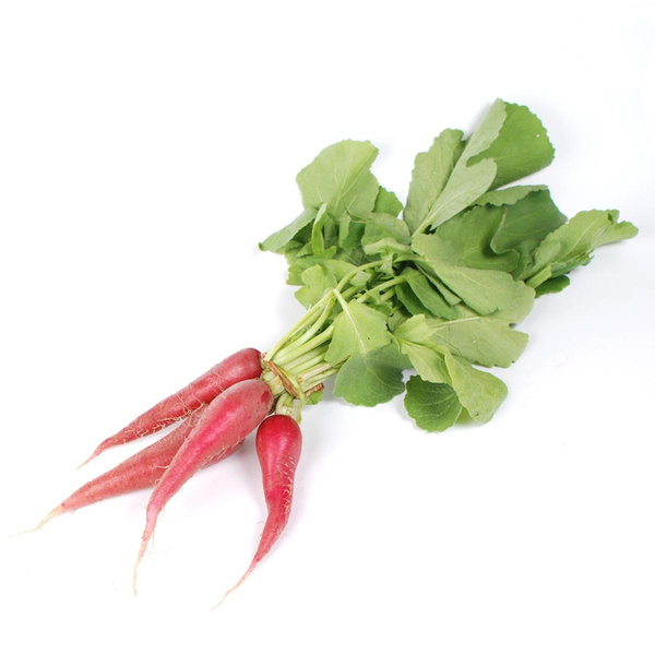 Produktfoto zu Rettich rot Bund