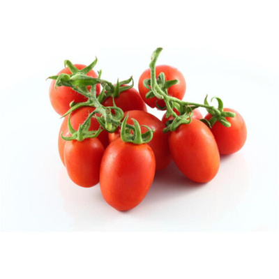 Produktfoto zu Datteltomaten
