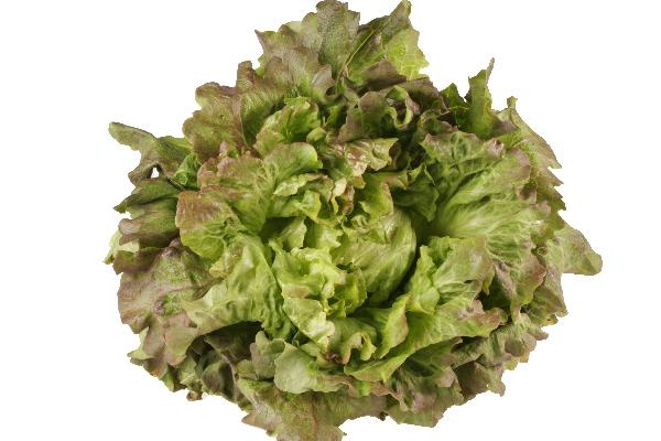 Produktfoto zu Grazer Krauthäuptel