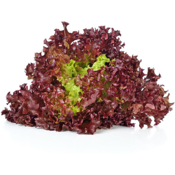 Produktfoto zu Batavia rot eig. LW