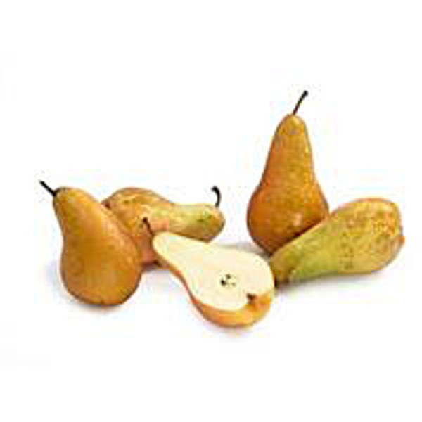 Produktfoto zu Birne Gute Luise