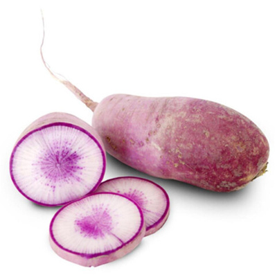 Produktfoto zu Radieschen "Blue Meat"
