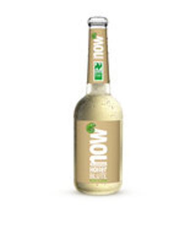 Produktfoto zu Hollerblüte NOW 0,33l