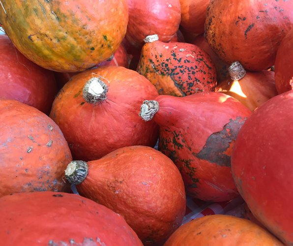 KI generiert: Mehrere orangefarbene Kürbisse dicht beieinander.