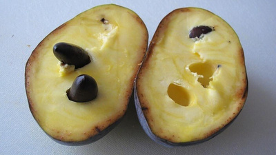 Produktfoto zu Papau