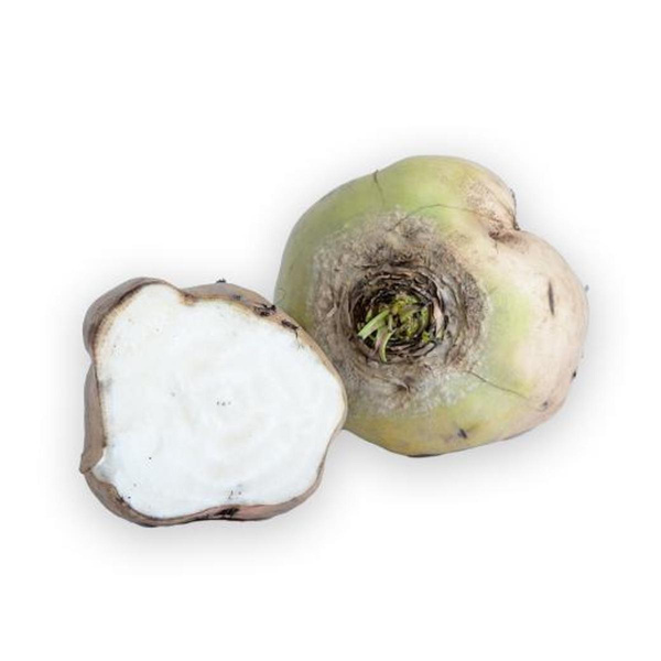 Produktfoto zu Rübenrarität weiß