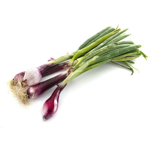 Produktfoto zu Jungzwiebel rot
