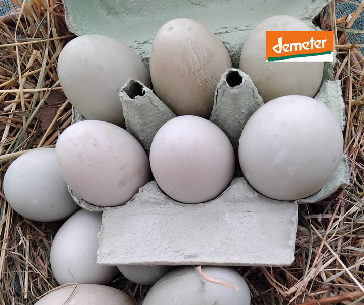 KI generiert: Eier in einem Eierkarton auf Stroh, mit "demeter"-Logo oben rechts.