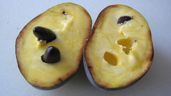 Produktfoto zu Papau