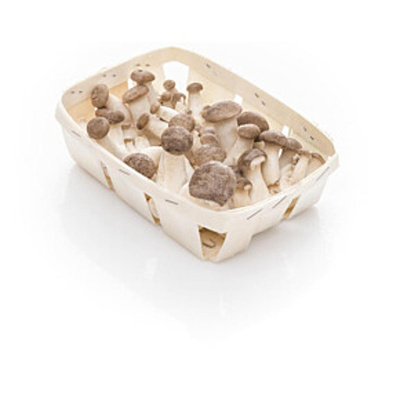 Produktfoto zu Kräuterseitlinge 200g