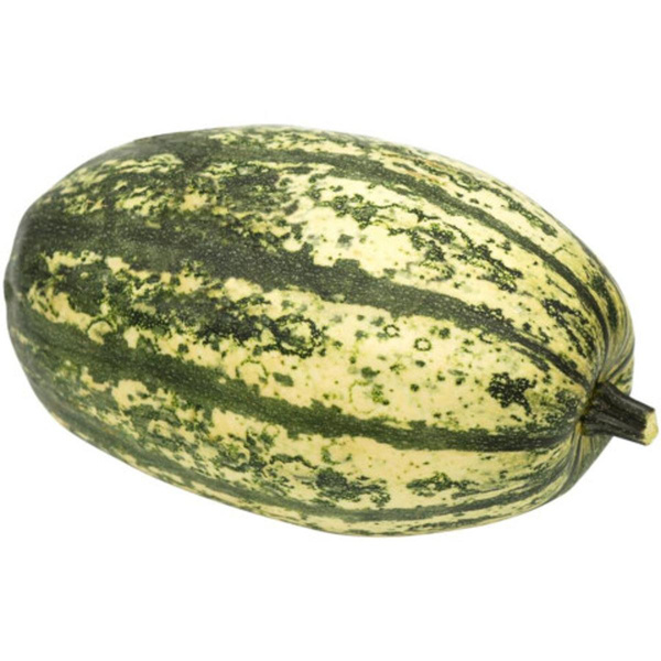 Produktfoto zu Kürbis "Spaghetti"