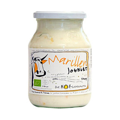 Produktfoto zu Joghurt Marille 0,5l