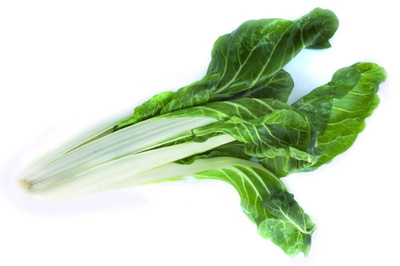 Produktfoto zu Mangold bunt