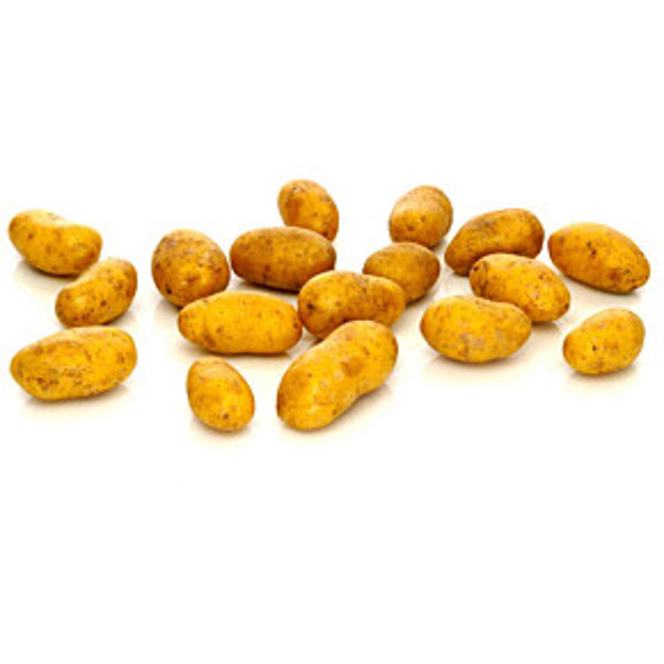 Produktfoto zu Babykartoffel Ditta