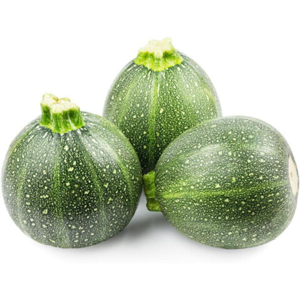 Produktfoto zu Zucchini rund