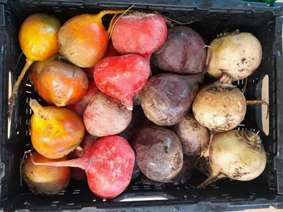 Produktfoto zu Rüben-Mix