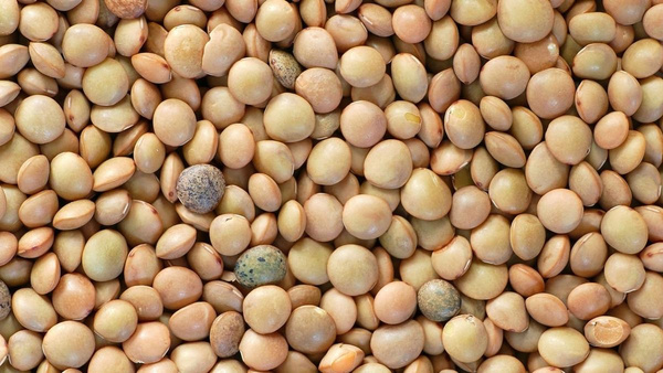 Produktfoto zu Berglinsen offen