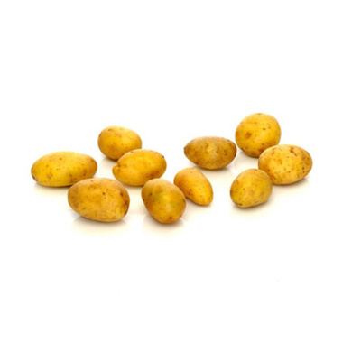 Produktfoto zu Babykartoffel Ditta