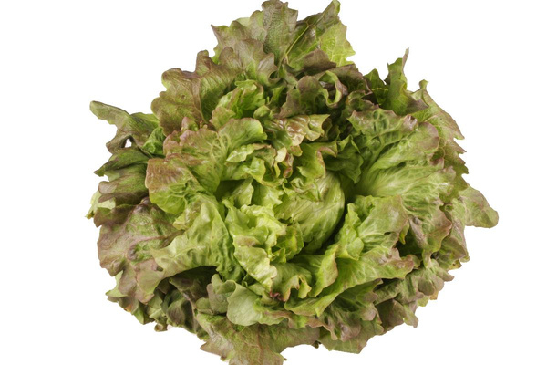 Produktfoto zu Grazer Krauthäuptel eig LW