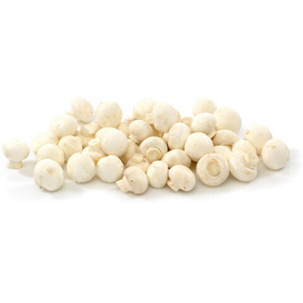 Produktfoto zu Champignon weiß lose