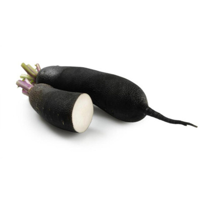 Produktfoto zu Rettich schwarz