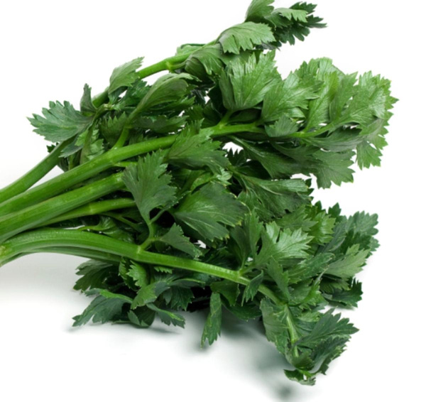 Produktfoto zu Schnittsellerie eig. LW