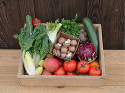 Produktfoto zu Mutter-Kind-Kiste