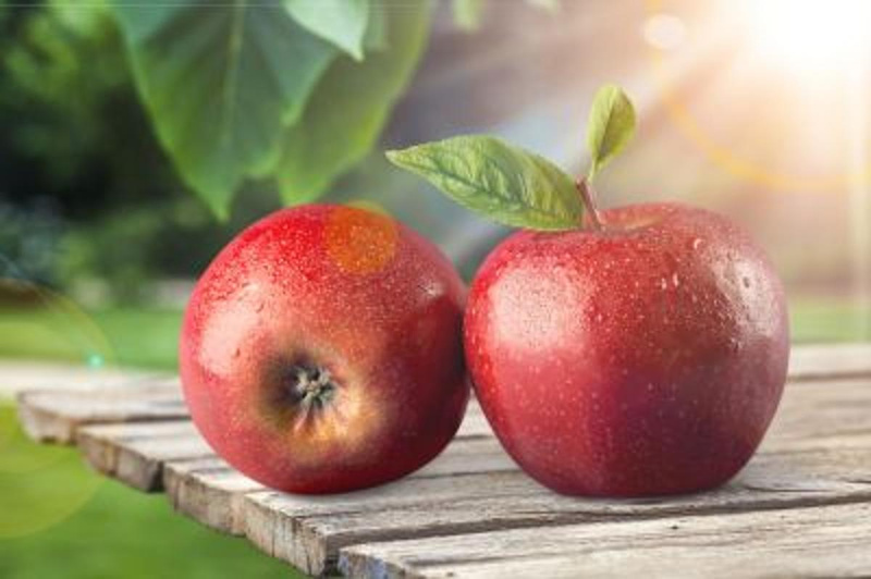 Obst - Biomitter