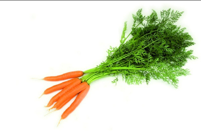 Produktfoto zu Bundkarotten