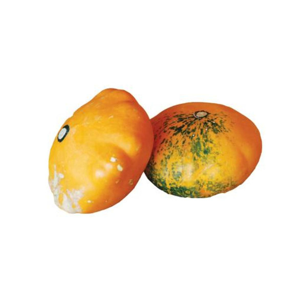 Produktfoto zu Kürbis  Patisson groß