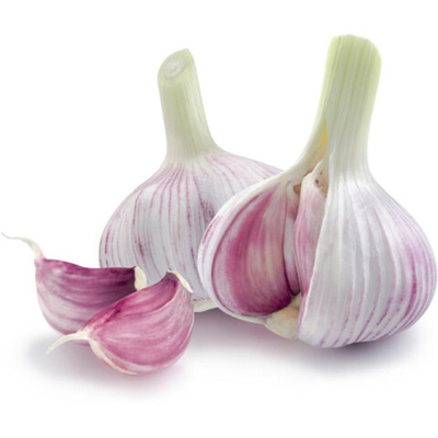 Produktfoto zu Knoblauch frisch eigene LW
