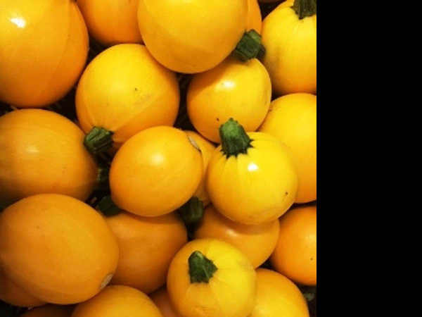 Produktfoto zu Zucchini gelb rund eig. LW
