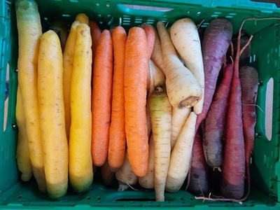 Produktfoto zu Karotten-Mix