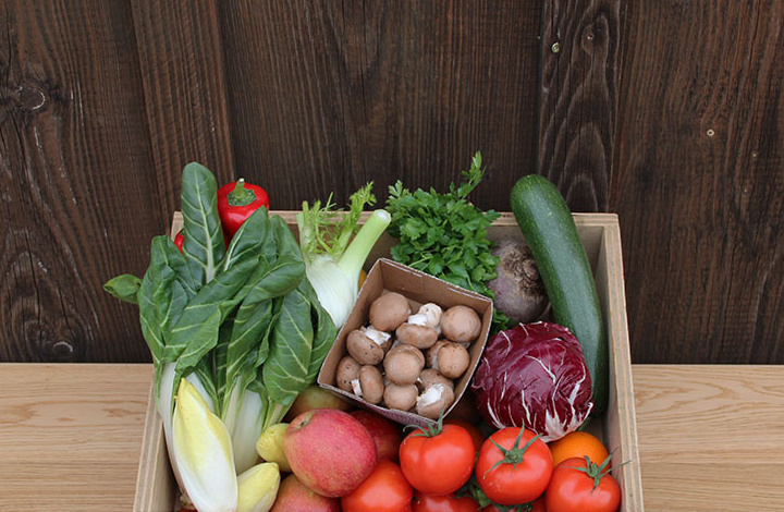 KI generiert: Das Bild zeigt eine Holzkiste mit einer Vielfalt an frischem, buntem Obst und Gemüse, darunter Salat, Brokkoli, Tomaten, Orangen und Lauch. Oberhalb der Kiste steht der Schriftzug "Bioblattl".