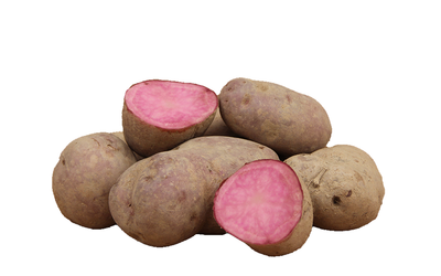 Produktfoto zu Erdäpfelrarität "Heiderot"