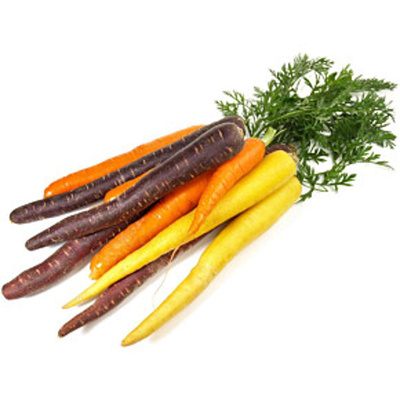 Produktfoto zu Karotten bunt Bund