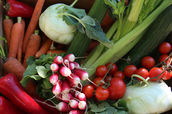 KI generiert: Verschiedene frische Gemüsesorten: Karotten, Radieschen, Paprika, Tomaten, Gurken und Kohlrabi.