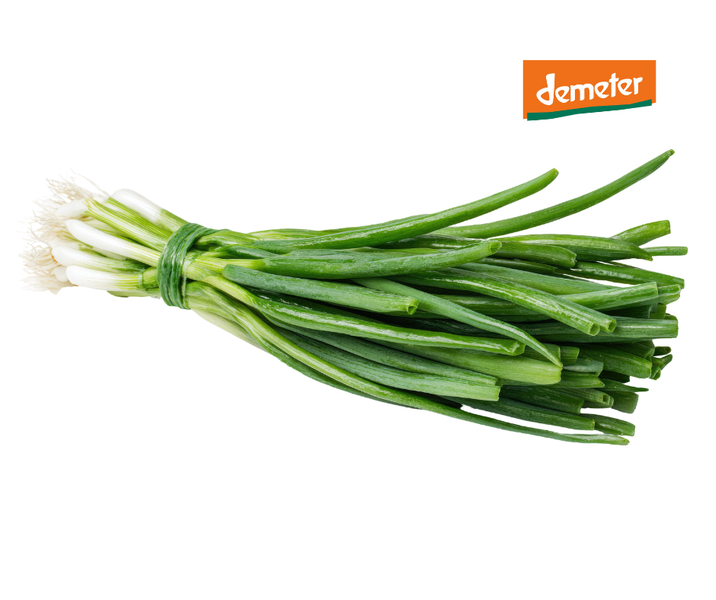 KI generiert: Ein Bund Frühlingszwiebeln mit dem Logo "demeter".