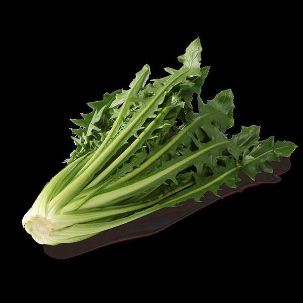 Produktfoto zu Catalogna