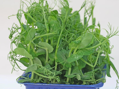 Produktfoto zu Erbsensprossen