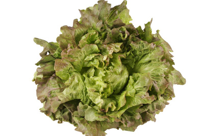 Produktfoto zu Grazer Krauthäuptel eig LW