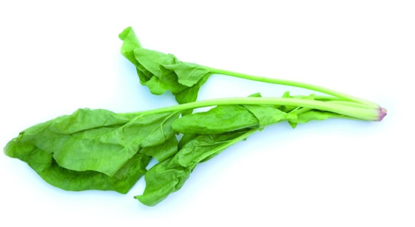 Produktfoto zu Wurzelspinat eigene LW